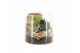 Arrangementen kamerplanten 31518: Maritiem arrangement 2 pp 