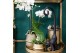Phalaenopsis multiflora wit Kolibri Orchids 2 tak in Groove pot gold 