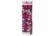 Alcea spring celebrities crimson mix 