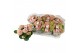Hydrangea macr. magical revolution Roze 3-4 Bloem 
