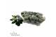 Hydrangea macr. magical revolution Blauw 3-4 Bloem 