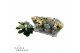 Hydrangea macr. magical revolution Mix 3-4 Bloem 