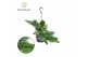 Epipremnum pinnatum marble planet hangpot 