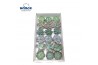 Echeveria snij Echeveria Ice Mix (Wincx) Cutfl (6 Spcs) 999