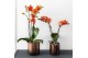 Keramische pot Kolibri Home Simplicity pot copper 9 cm 