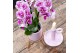 Keramische pot Kolibri Home Simplicity pot pink 9 cm 