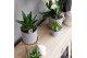 Keramische pot Kolibri Home Simplicity pot taupe 9 cm 