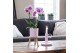 Keramische pot Kolibri Home Simplicity pot violet 12 cm 