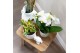 Keramische pot Kolibri Home Simplicity pot white 9 cm 