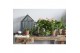 Anthurium andr. joli peach 