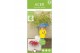 Acer palmatum emerald lace 90 cm cm stam 