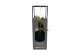 Kamerplanten mix groen Kokodama 12 cm Hanging Industrial Green mix 1 p 