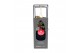 Kamerplanten mix groen Kokodama 12 cm Hanging Industrial Green mix 1 p 