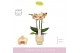 Phalaenopsis geel MyMonro Glamour 3 spike in Emilia Sand Aquo 16 bl. 3 