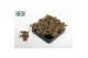Succulenten Kalanchoë Tomentosa brown, 