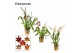 Cambria mix 2 tak decorum 