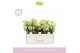 Phalaenopsis multiflora geel 3-5 tak boquetto sensation in emilia sand 