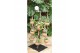 Arrangementen succulenten Kokodama Black Tree Small exclusief Kokodama 