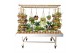 Arrangementen succulenten Kokodama Presentation Rack (exclusive plants 
