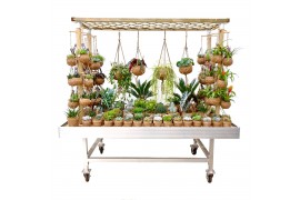 Arrangementen succulenten Kokodama Presentation Rack (exclusive plants