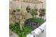 Arrangementen succulenten Kokodama Presentation Rack (exclusive plants 
