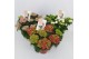 Hydrangea macr. mix Special Mix 7-8 Bloem 