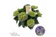 Hydrangea macr. hi ocean Blauw 7-8 Bloem 