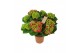 Hydrangea macr. hi tornado Rood 7-8 Bloem 