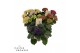 Hydrangea macr. mix Special Mix 5-6 Bloem 