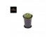 Cactus Gymno Spineless Island XL 
