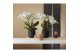 Phalaenopsis wit Bambuso - Inyo - 2 tak 