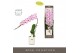 Phalaenopsis paars Formidablo - Iguaza Falls - 1 tak, 12+ bloem - Moli 