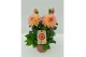 Dahlia (miscellaneous grp) gardenetta peac Dahlia Gardenetta Peach 