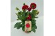 Dahlia dalina maxi topia 