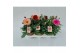 Dahlia hypnotica mix Dahlia Gemengd 