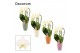 Phalaenopsis wit Phalaenopsis triple cascade wit in Carly (Craft world 