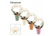 Phalaenopsis anthura madrid Boog - 2 tak, 14+ bloem - Carly keramiek - 