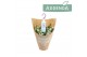 Campanula posch. adansa white hangpot in kraft 