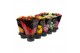 Kalanchoe roseflower mix Happiness DeLuxe 