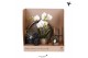 Arrangementen kamerplanten Kolibri Green up your home - Gift Set - Hom 