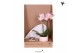 Arrangementen kamerplanten Kolibri Green up your home - Gift Set small 