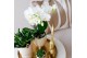 Arrangementen kamerplanten Kolibri Green up your home - Gift Set - Lux 