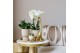 Arrangementen kamerplanten Kolibri Green up your home - Gift Set - Lux 