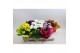 Chrysanthemum ind. mix rondella 