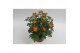 Chrysanthemum ind. rainbow vulcano stadium 2 