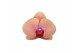 Phalaenopsis caribbean dream 2 tak - 18+ grijs keramiek 