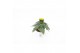 Helianthus annuus sunsation stadium 2 