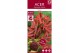 Acer palmatum shaina 40 cm cm stam 