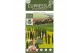 Cupressus sempervirens totem green elements beauty of toscany 
