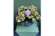 Kalanchoe deco tweed Moziac 